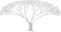 Tree of Life tree